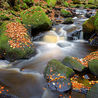 Buy canvas prints of Padley Gorge Waterfall  by Darren Galpin
