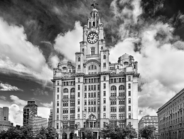 Royal Liver Building Picture Board by Darren Galpin