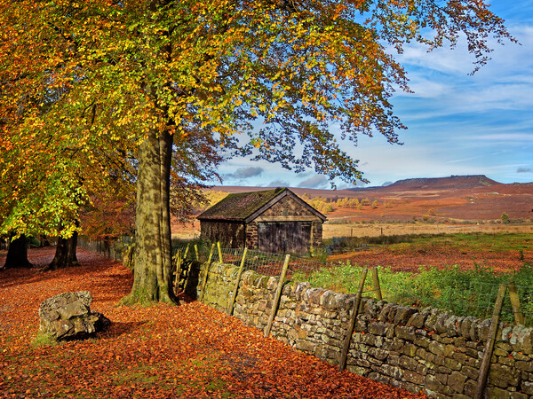 The Old Barn, Longshaw, Derbyshire, Peak District Picture Board by Darren Galpin