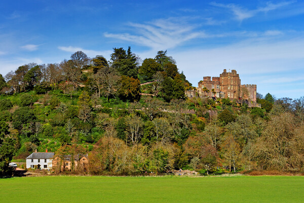 Dunster Castle, Somerset Picture Board by Darren Galpin
