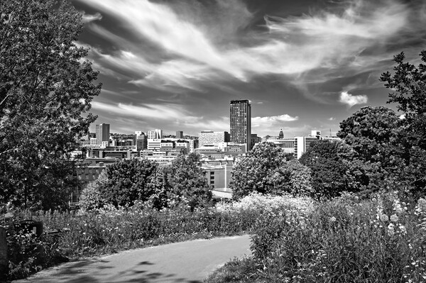 Sheffield Skyline  Picture Board by Darren Galpin