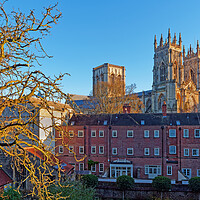 Buy canvas prints of York Minster from City Wall by Darren Galpin