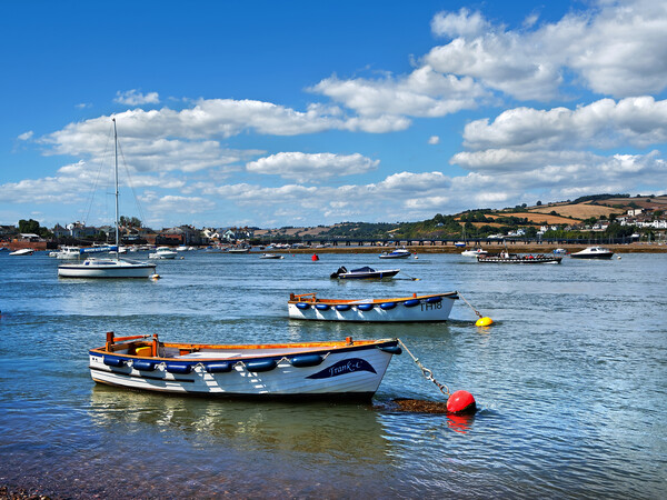 Teign Estuary, Teignmouth Picture Board by Darren Galpin