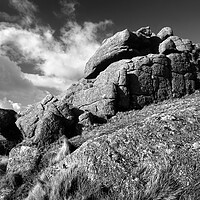 Buy canvas prints of Sheeps Tor Summit by Darren Galpin