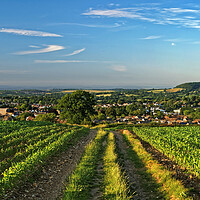 Buy canvas prints of View over Chard, Somerset  by Darren Galpin
