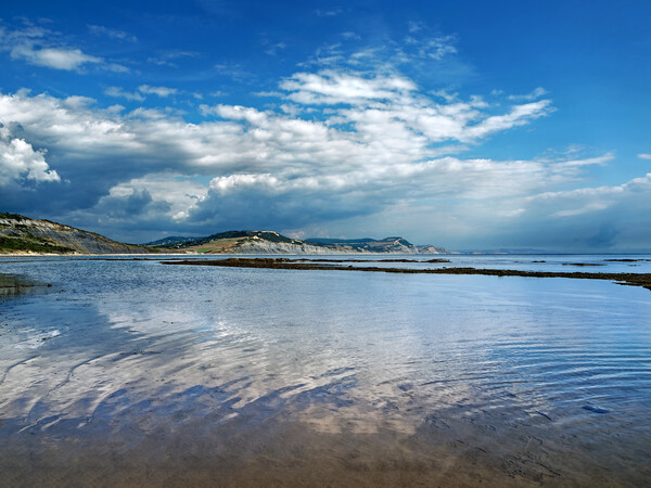 Jurassic Coast and Lyme Bay Reflections Picture Board by Darren Galpin