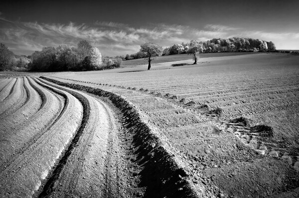 Ploughed Field, High Melton, South Yorkshire Picture Board by Darren Galpin