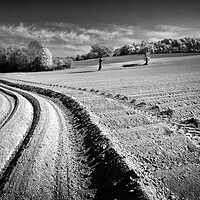 Buy canvas prints of Ploughed Field, High Melton, South Yorkshire by Darren Galpin
