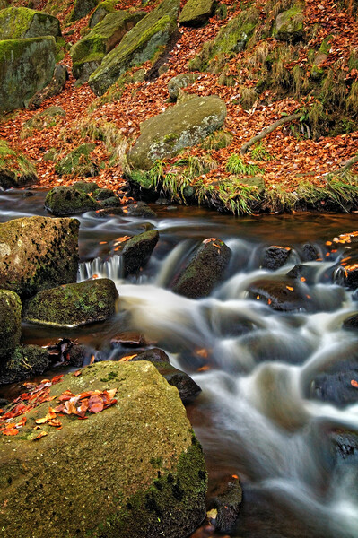 Padley Gorge Waterfall  Picture Board by Darren Galpin