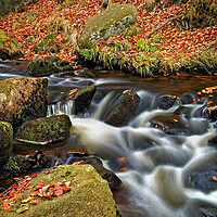 Buy canvas prints of Padley Gorge Waterfall  by Darren Galpin