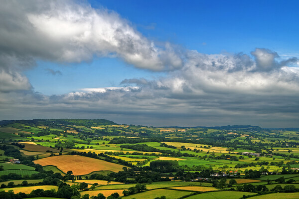 Dorset Countryside Picture Board by Darren Galpin