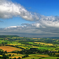 Buy canvas prints of Dorset Countryside by Darren Galpin