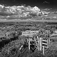 Buy canvas prints of View across Studland and Godlington Heath   by Darren Galpin