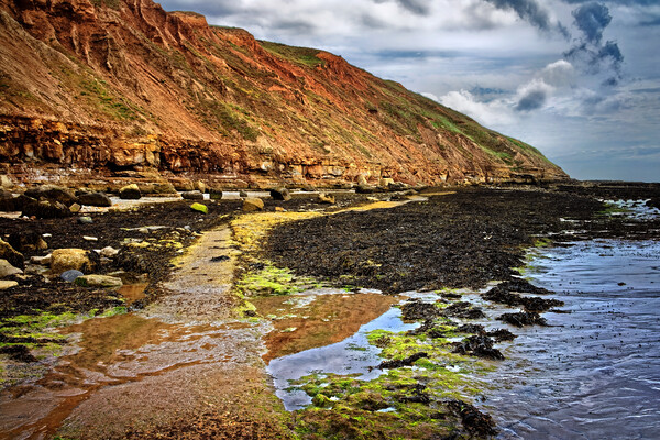 Filey Brigg, North Yorkshire Picture Board by Darren Galpin