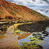 Buy canvas prints of Filey Brigg, North Yorkshire by Darren Galpin