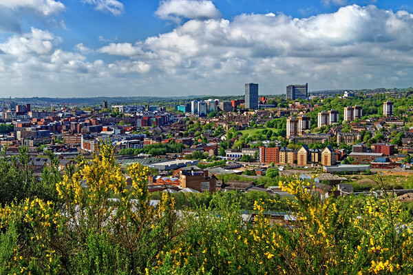 Parkwood Springs View over Sheffield Picture Board by Darren Galpin