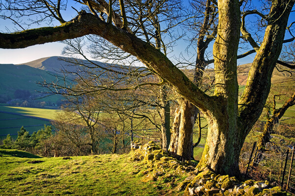 View of Mam Tor, Peak District Picture Board by Darren Galpin