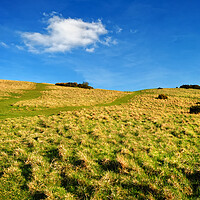 Buy canvas prints of Cleeve Hill, The Cotswolds by Darren Galpin