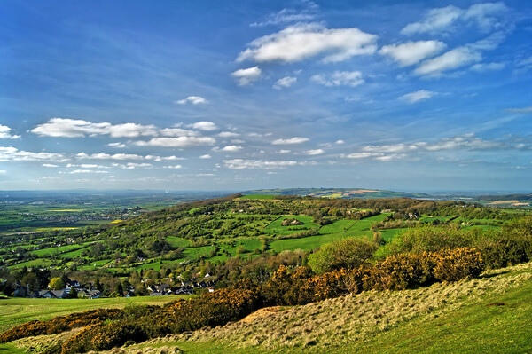 View from Cleeve Hill, Cotswolds    Picture Board by Darren Galpin