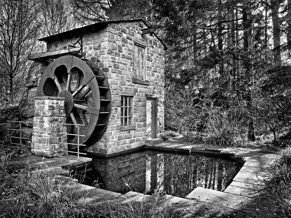 Water Wheel, Roundhay Park, Leeds Picture Board by Darren Galpin