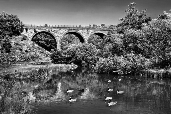 Headstone Viaduct & River Wye, Monsal Dale, Peak District Picture Board by Darren Galpin