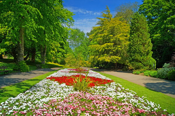 Valley Gardens, Harrogate Picture Board by Darren Galpin