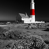 Buy canvas prints of Portland Bill Lighthouse by Darren Galpin