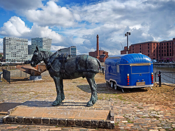 The Working Horse Monument, Liverpool Picture Board by Darren Galpin