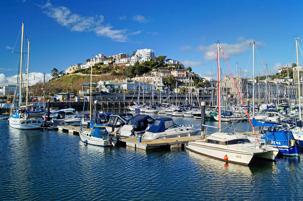 Torquay Harbour  Picture Board by Darren Galpin