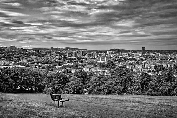 Turners View, Sheffield Picture Board by Darren Galpin