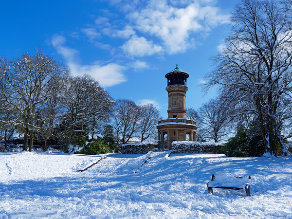 Locke Park Tower, Barnsley    Picture Board by Darren Galpin