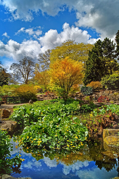 Sheffield Botanical Gardens Picture Board by Darren Galpin