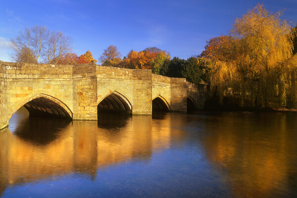 Bakewell Bridge & River Wye   Picture Board by Darren Galpin