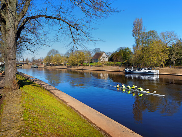 Rowing the River Ouse in York Picture Board by Darren Galpin