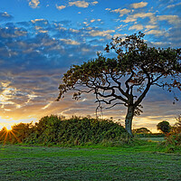 Buy canvas prints of South Somerset Sunset by Darren Galpin