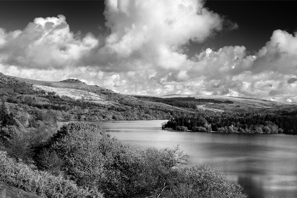 Burrator Reservoir  Picture Board by Darren Galpin