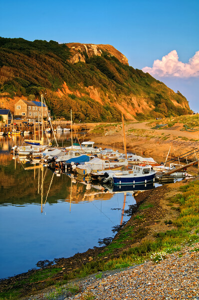 Axmouth Harbour & Haven Cliff   Picture Board by Darren Galpin