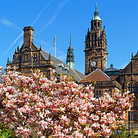 Buy canvas prints of Sheffield Town Hall by Darren Galpin