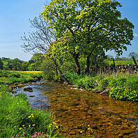 Buy canvas prints of Gordale Beck, Yorkshire Dales by Darren Galpin