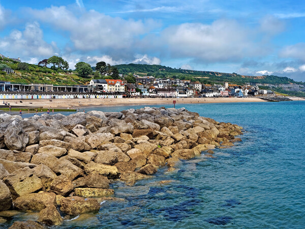 Lyme Regis from North Wall   Picture Board by Darren Galpin
