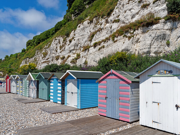 Beer Beach Huts Picture Board by Darren Galpin