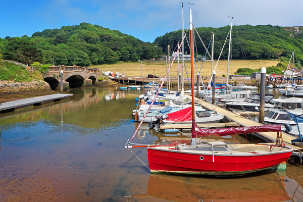 Axmouth Harbour Picture Board by Darren Galpin