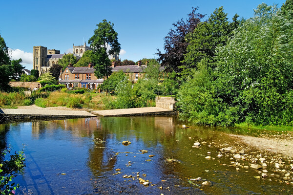 Ripon Cathedral and River Skell Picture Board by Darren Galpin