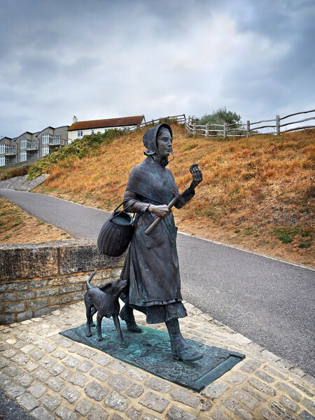 Mary Anning Statue, Lyme Regis Picture Board by Darren Galpin