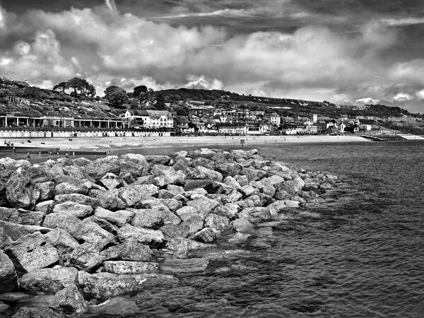 Lyme Regis from North Wall   Picture Board by Darren Galpin