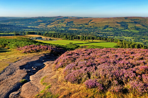 View from Bamford Edge Picture Board by Darren Galpin