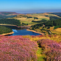 Buy canvas prints of Ladybower View, Derbyshire, Peak District by Darren Galpin