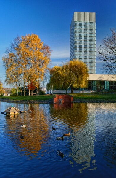 University Arts Tower and Weston Park Pond Picture Board by Darren Galpin