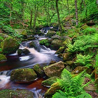 Buy canvas prints of Padley Gorge  by Darren Galpin