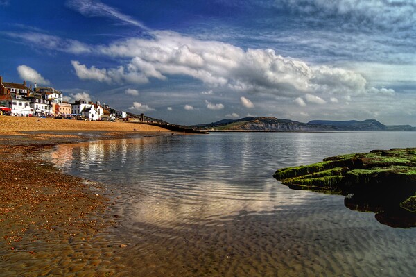 Lyme Regis Seafront  Picture Board by Darren Galpin